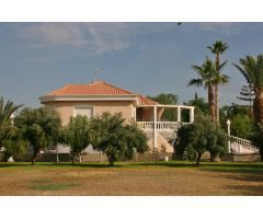 Bonito chalet en finca de olivos a escasos kilómetros de Muchamiel