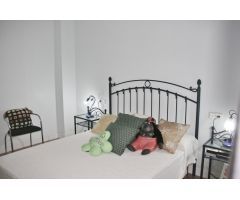 Bonito chalet en finca de olivos a escasos kilómetros de Muchamiel