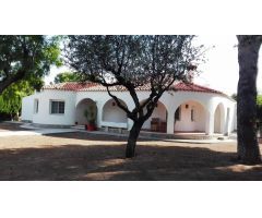 Sensacional chalet en La Almajada en una plnta