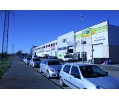 Parcela industrial Proyecto y Licencia