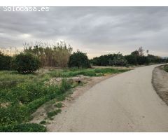 Finca rustica en Venta en Orihuela, Alicante