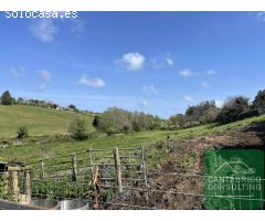 FINCA CON VISTAS A LA RIA, CASTROPOL