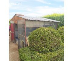 Urbis te ofrece una maravillosa casa en venta en Castellanos de Villiquera, Salamanca.