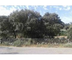 Urbis te ofrece una parcela en venta en Castillejo de Dos Casas, Aldea del Obispo, Salamanca.