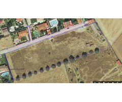 Urbis te ofrece una parcela en venta en Calvarrasa de Arriba, Salamanca.