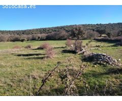 Urbis te ofrece dos terrenos rústicos en venta en Encina de San Silvestre, Salamanca.