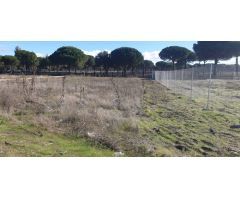Urbis te ofrece parcelas urbanas en Aldeamayor de San Martín, Valladolid.
