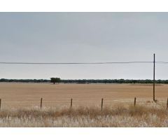 Urbis te ofrece un estupendo terreno de regadío en venta en Abusejo, Salamanca.