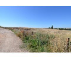 Urbis te ofrece un terreno en venta en Almenara de Tormes, Salamanca.