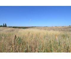 Urbis te ofrece un terreno en venta en Almenara de Tormes, Salamanca.