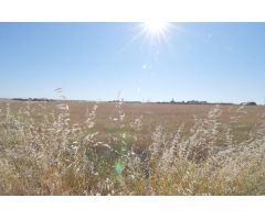 Urbis te ofrece un terreno en venta en Castellanos de Villiquera, Salamanca.
