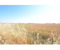 Urbis te ofrece un terreno en venta en Castellanos de Villiquera, Salamanca.