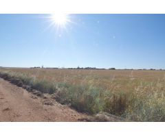 Urbis te ofrece un terreno en venta en Castellanos de Villiquera, Salamanca.