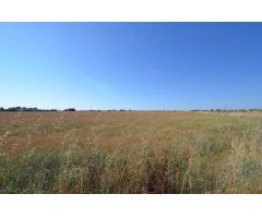 Urbis te ofrece un terreno en venta en Castellanos de Villiquera, Salamanca.