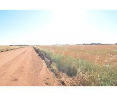 Urbis te ofrece un terreno en venta en Castellanos de Villiquera, Salamanca.