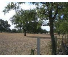 Urbis te ofrece una finca rústica en venta en Villares de Yeltes, Salamanca.