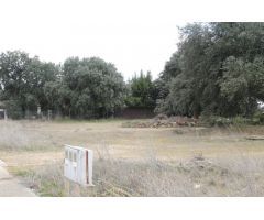 Urbis te ofrece una parcela en venta en Urbanización Oasis Golf, Carrascal de Barregas, Salamanca.