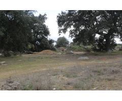 Urbis te ofrece una parcela en venta en Urbanización Oasis Golf, Carrascal de Barregas, Salamanca.