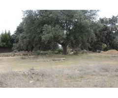 Urbis te ofrece una parcela en venta en Urbanización Oasis Golf, Carrascal de Barregas, Salamanca.