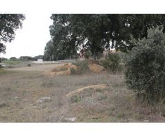 Urbis te ofrece una parcela en venta en Urbanización Oasis Golf, Carrascal de Barregas, Salamanca.