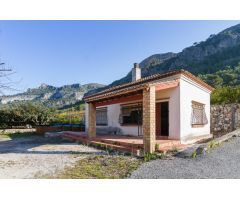 ¿eres de los que siempre han soñado con tener una finca de naranjos?