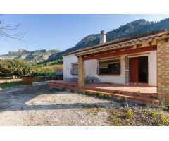 ¿eres de los que siempre han soñado con tener una finca de naranjos?