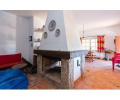 ¿eres de los que siempre han soñado con tener una finca de naranjos?