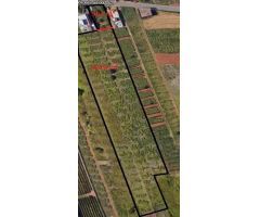 SOLAR URBANO CON FINCA RUSTICA