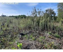 SOLAR URBANO CON FINCA RUSTICA