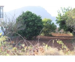 SOLAR URBANO CON FINCA RUSTICA