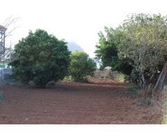 SOLAR URBANO CON FINCA RUSTICA