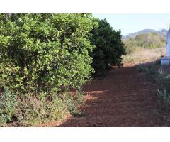 SOLAR URBANO CON FINCA RUSTICA