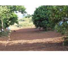 SOLAR URBANO CON FINCA RUSTICA