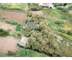 FINCA RUSTICA Y ASENTAMIENTO RURAL