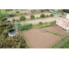 FINCA RUSTICA Y ASENTAMIENTO RURAL