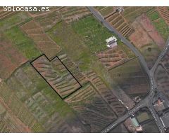 FINCA RUSTICA CON VIÑA EN EL SAUZAL