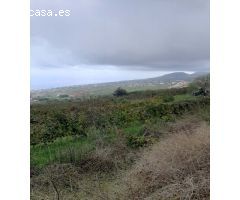 FINCA RUSTICA CON VIÑA EN EL SAUZAL