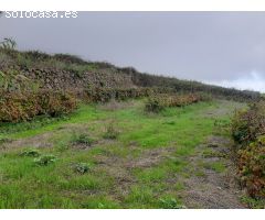 FINCA RUSTICA CON VIÑA EN EL SAUZAL