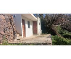 Terreno Rústico en Tacoronte: Viñedos, Frutales y Cuarto de Aperos en un Bonito Entorno Natural.