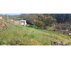 Terreno Rústico en Tacoronte: Viñedos, Frutales y Cuarto de Aperos en un Bonito Entorno Natural.