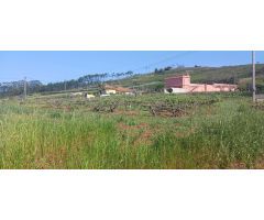 Terreno Rústico en Tacoronte: Viñedos, Frutales y Cuarto de Aperos en un Bonito Entorno Natural.