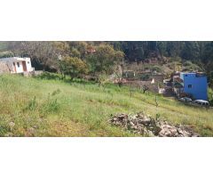 Terreno Rústico en Tacoronte: Viñedos, Frutales y Cuarto de Aperos en un Bonito Entorno Natural.