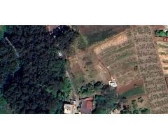 Terreno Rústico en Tacoronte: Viñedos, Frutales y Cuarto de Aperos en un Bonito Entorno Natural.