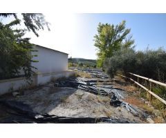 2 CASAS DE CAMPO  INDEPENDIENTES