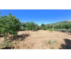 Casa de campo independiente con terreno llano vallado, piscina, cerca del pueblo