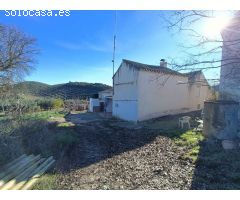 Masía para reformar con 4 hectáreas de olivos maduros
