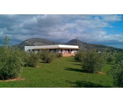 Amplia finca con atractiva vivienda de una sola planta