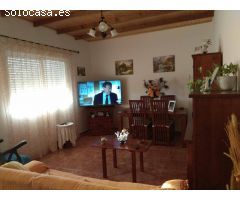 parcela de mangos con casa