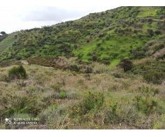 Finca rustica en Venta en Benamocarra, Málaga