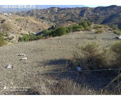 pacela en almachar con pozo de agua